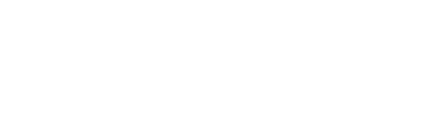 snagshout partners logo
